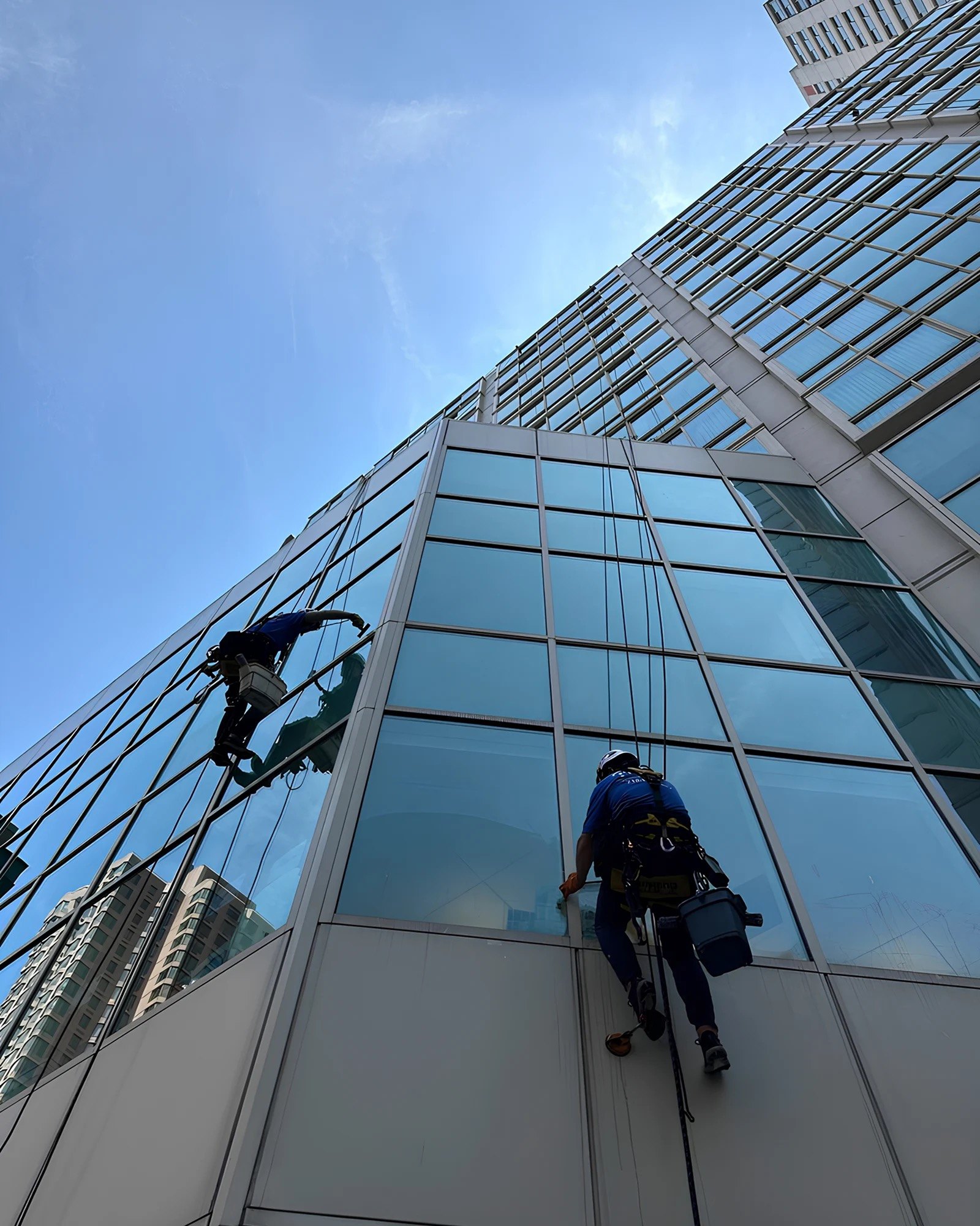 Two IRATA rope access technicians abseiling a Melbourne glass tower, cleaning windows at height